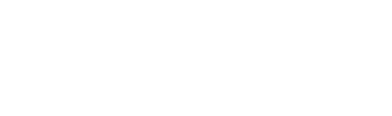 logo_seranking
